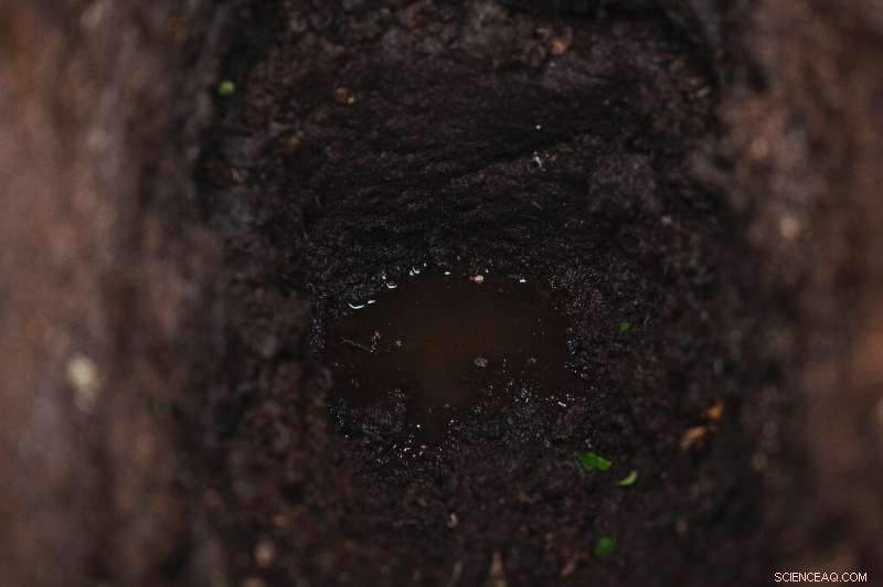 Permafrost: A Looming Carbon Crisis