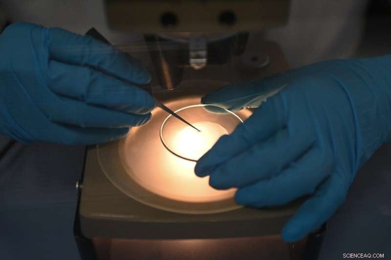 Tiny Plankton, Big Impact: Decoding Ocean Health with Innovative Towed Devices