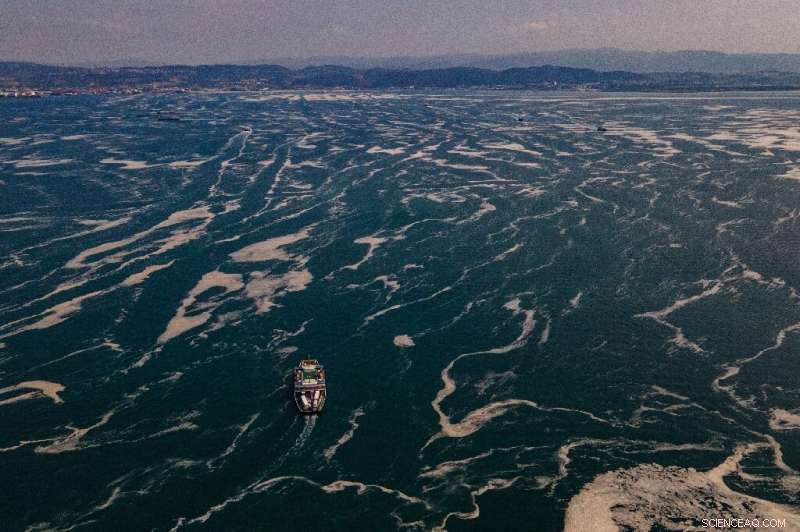 Tiny Plankton, Big Impact: Decoding Ocean Health with Innovative Towed Devices