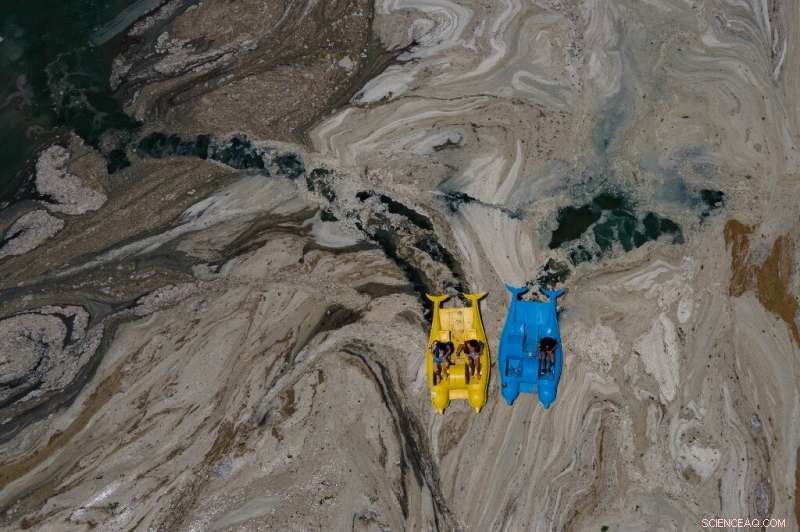 Tiny Plankton, Big Impact: Decoding Ocean Health with Innovative Towed Devices