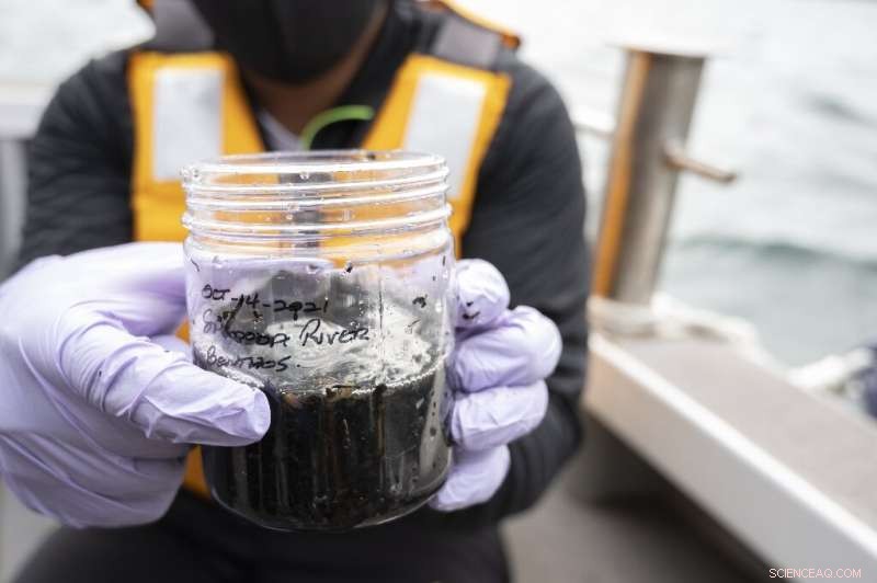 Scientists Investigate Microplastic Threats in Japan’s Pacific Waters