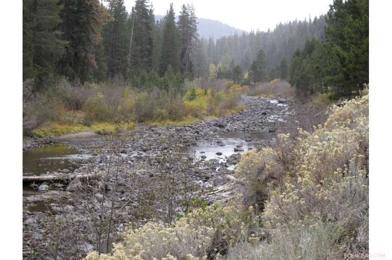 Lake Tahoe’s Drying Waters: Climate Change Accelerates River Flow Interruptions