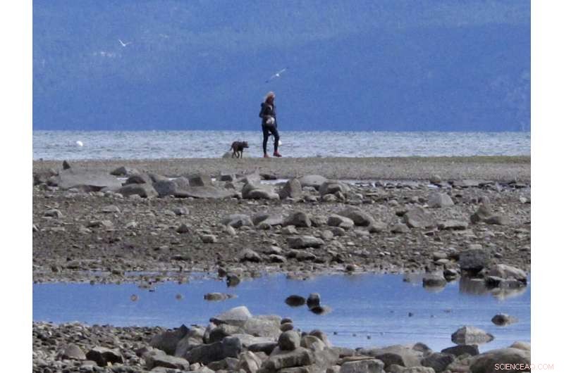 Lake Tahoe’s Drying Waters: Climate Change Accelerates River Flow Interruptions