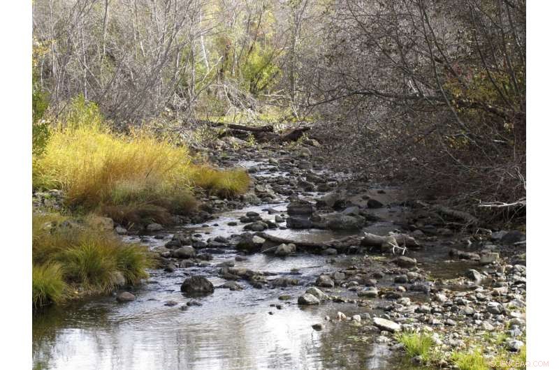 Lake Tahoe’s Drying Waters: Climate Change Accelerates River Flow Interruptions