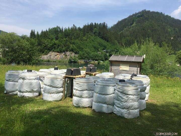 New Study Reveals Dual Climate Impacts on Freshwater Ecosystems