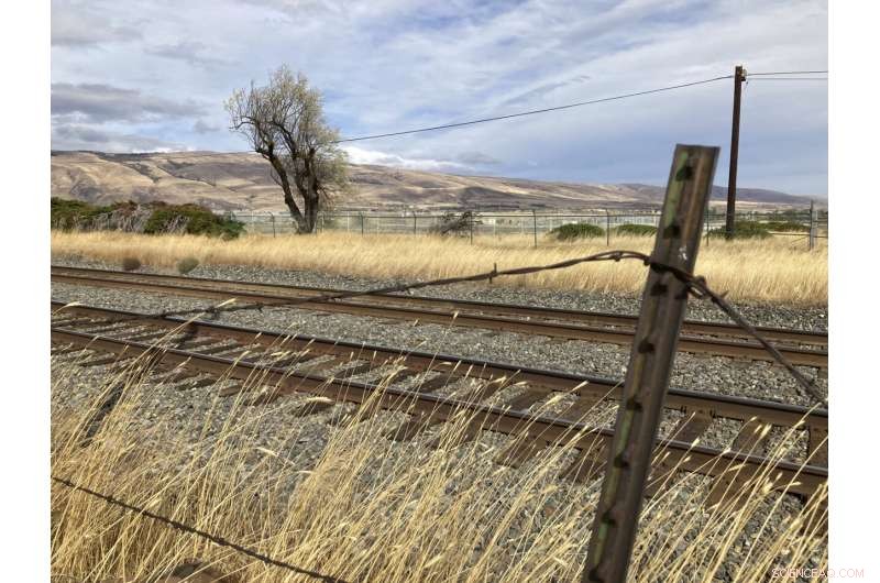 Data Centers from Big Tech Raise Concerns Over Western Water Scarcity