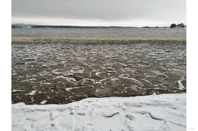 Northern Lakes Warm Six Times Faster Over 25 Years, York University Finds