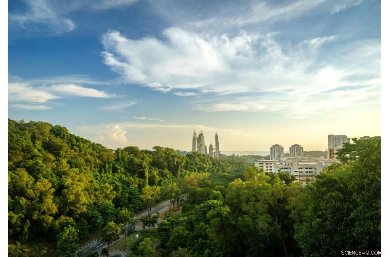 Carbon Credits & Institutional Investors: Driving Sustainable Futures