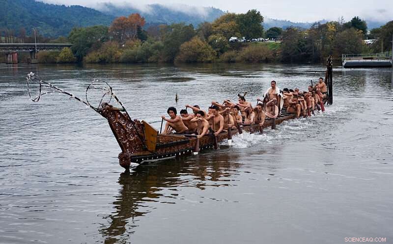 Climate Change and Māori: Impact, Risks, and Adaptation Strategies