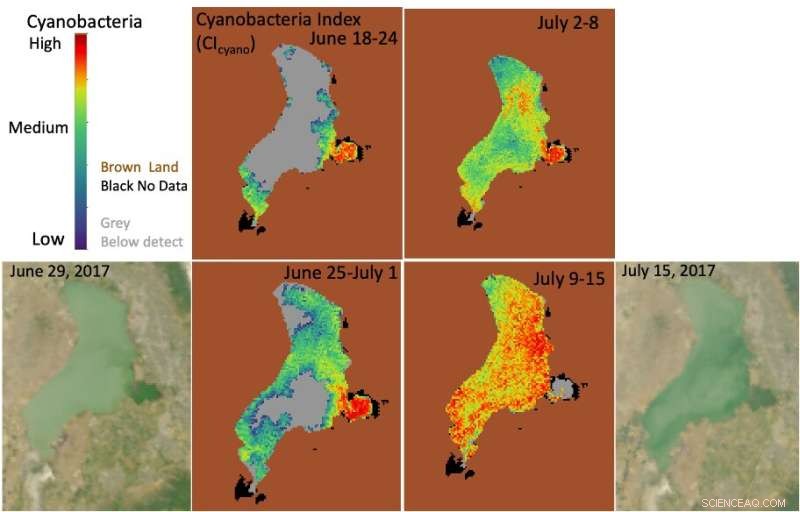 NASA Unveils Comprehensive Cyanobacteria Dataset for 2,300+ US Lakes