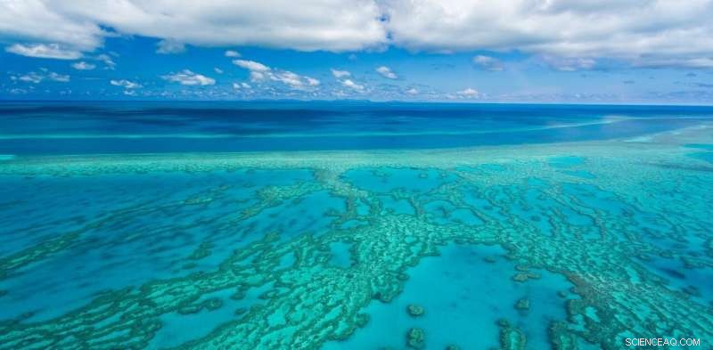 Why Geoengineering and Emerging Technologies are Key to Stopping the Climate Crisis