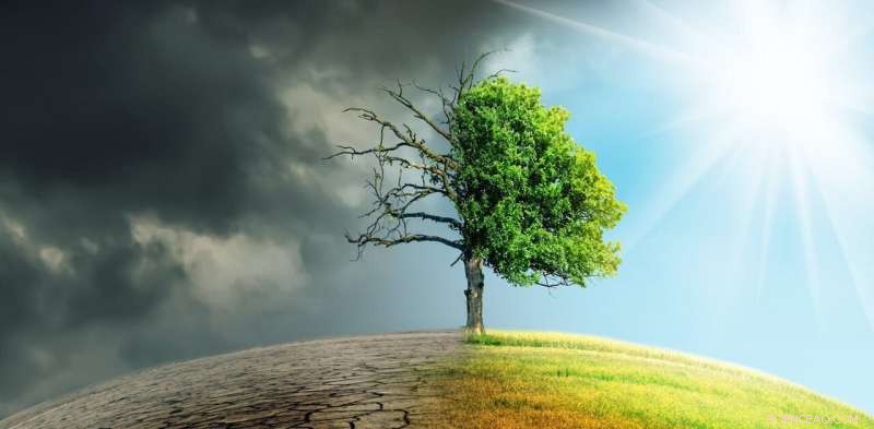 UN Grants Healthy Environment Right: How New Zealand Can Accelerate Climate Action