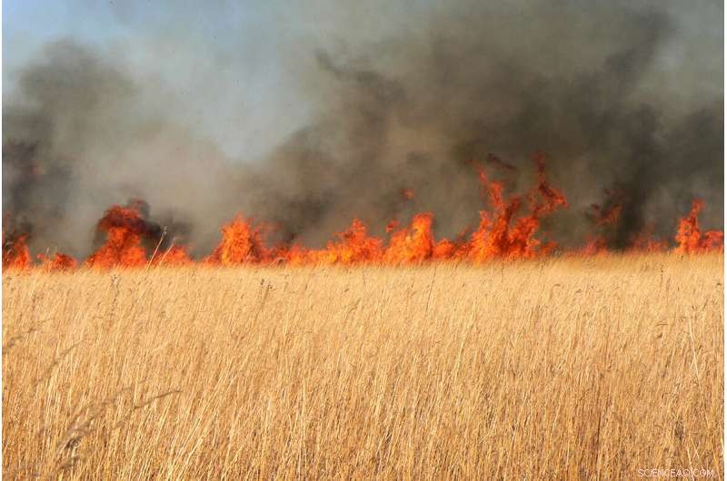 Reconstructing 232 Years of Prairie Fires: A Comprehensive Midwestern Tallgrass Study