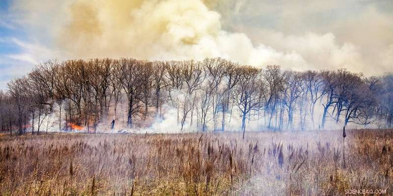 Reconstructing 232 Years of Prairie Fires: A Comprehensive Midwestern Tallgrass Study