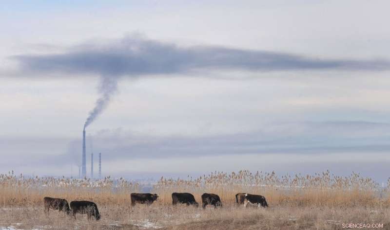 Climate: Removing CO2 from the Air Is Now Essential for a Carbon‑Neutral Future