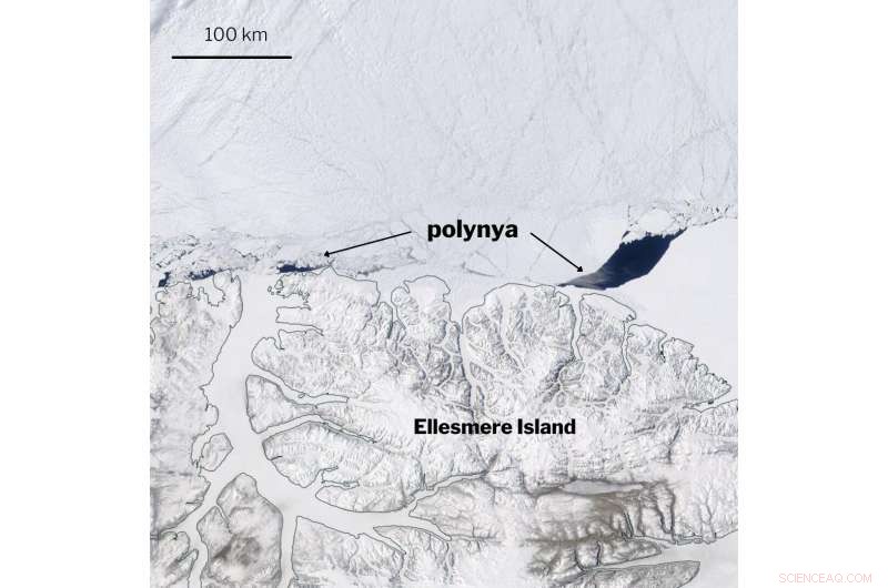 Scientists Identify 3,000‑km Rift in Arctic s Last Thick Sea‑Ice Reserve
