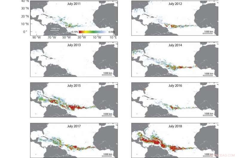 What Causes the Massive Brown Seaweed Blooms on Florida and Caribbean Beaches?