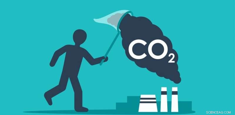 Climate Change: 6 Key Strategies to Remove Carbon from the Atmosphere