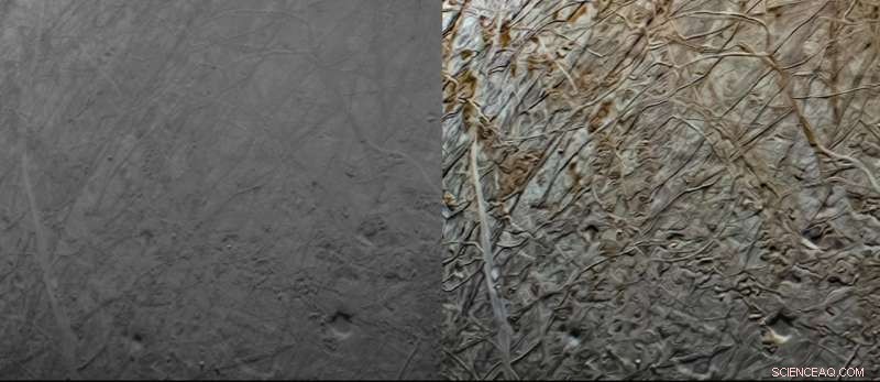 Citizen Scientists Reveal Enhanced Europa Images from NASA s Juno Mission