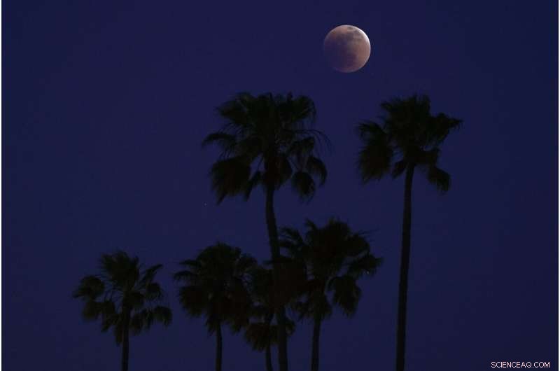 First Blood Moon of 2022: Stunning Lunar Eclipse Captivated Stargazers Across the Americas