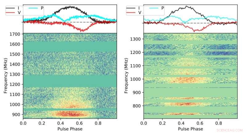 New Highly Circularly Polarized, Variable Pulsar Discovered in the Large Magellanic Cloud