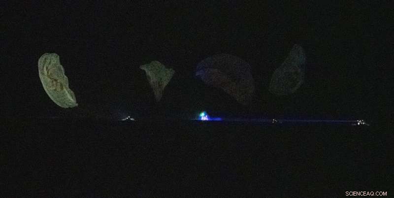 SpaceX Safely Brings 4 Astronauts Home, Then Launches 53 Satellites