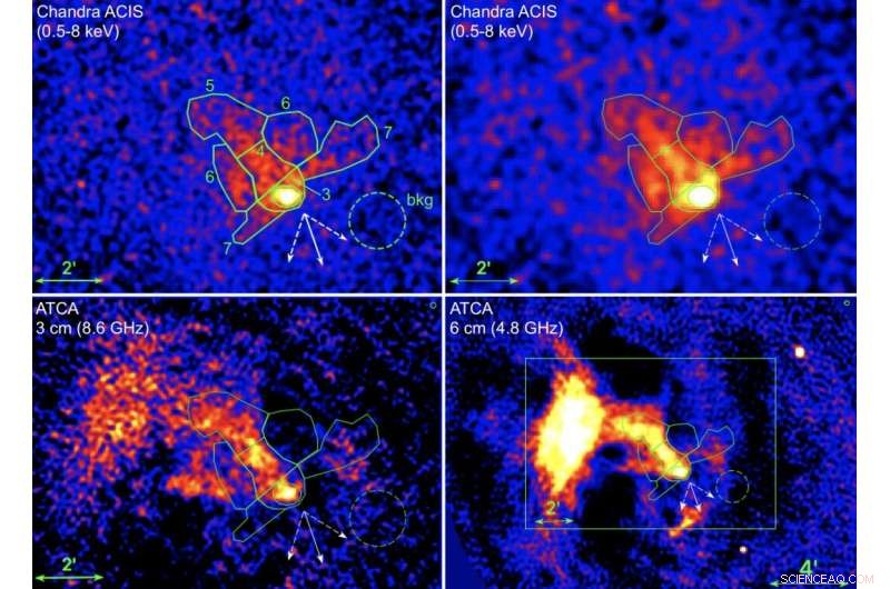 Astronomers Probe the Goose Pulsar Wind Nebula Using Chandra and ATCA