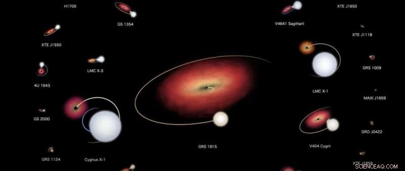 NASA Visualizes the Leading Black Hole Systems