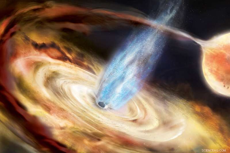 New Study Identifies Eight Distinct Sources of Black Hole Echoes