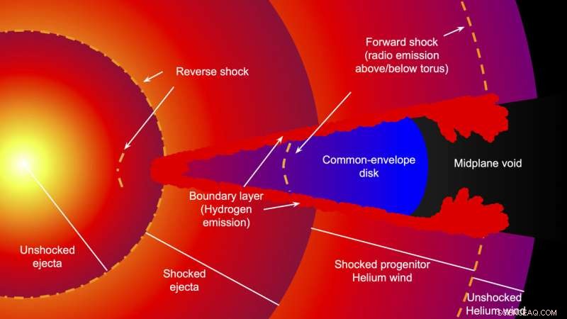 Astronomers Decipher Supernova Secrets: Ejecta, Winds, and Hydrogen Source Unveiled