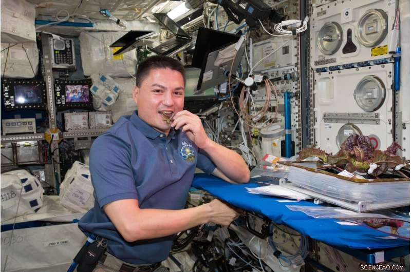 Crew-4 Astronauts to Conduct Microgravity Research on the International Space Station