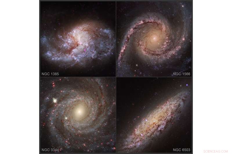 Black Holes Devour Thousands of Stars, Driving Their Growth