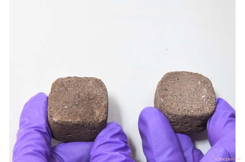 Bacteria-Enhanced Martian Bricks: Pioneering Sustainable Mars Settlements
