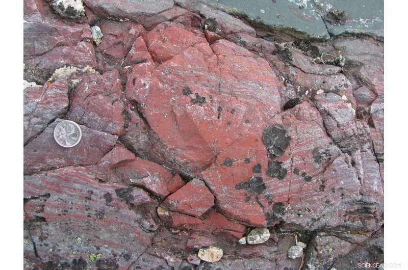 Groundbreaking Microfossils Suggest Life Evolved Earlier Than Previously Thought