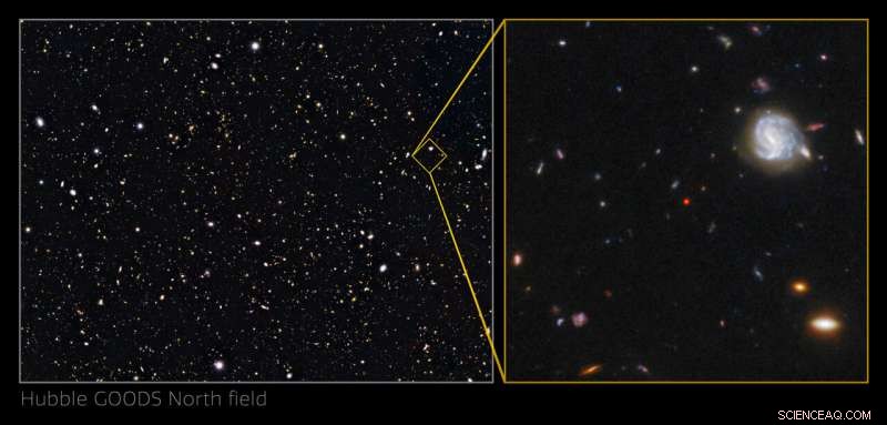 A Dusty Compact Object Linking Early Galaxies to Quasars at Cosmic Dawn