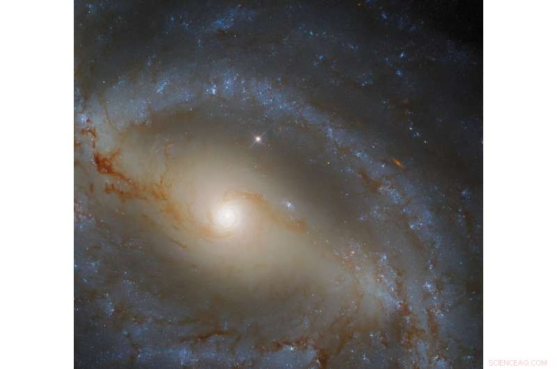Hubble Captures the Serpentine Spiral Arms of Galaxy NGC 5921