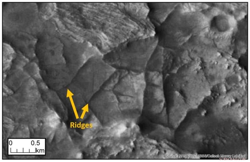 Citizen Scientists Aid in Mapping Mars’ Intricate Ridge Networks