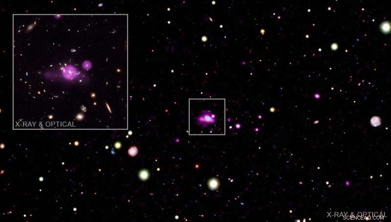 Spiderweb Galaxy Field Reveals Feeding Black Holes in a Cosmic Web