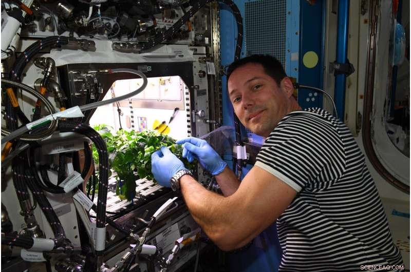 Cultured Meat on the Space Station: Advancing Food for Astronauts and Earth