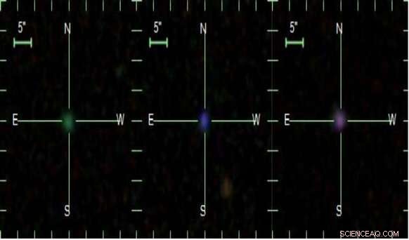LAMOST Uncovers 1,547 New Compact Galaxies, Including Green Pea, Blueberry, and Purple Grape Types