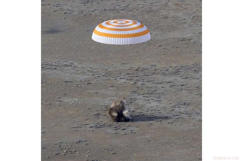 US Astronaut Concludes Record Spaceflight, Safely Returns to Earth on Russian Soyuz