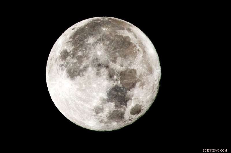 Jeff Koons to Launch Sculptures on the Moon in Historic Space Mission