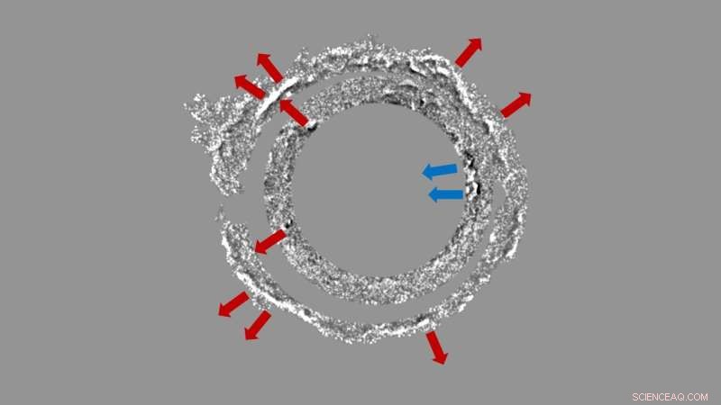 Cassiopeia A Supernova Remnant: Inner Nebula Expands Inward, Outer Shells Move Outward