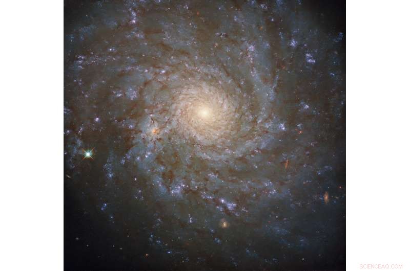 Hubble Reveals Stunning Spiral Galaxy NGC 4571