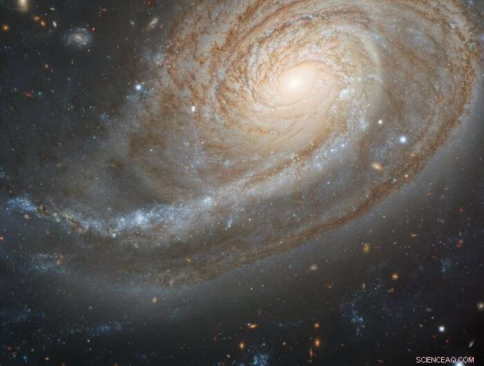NGC 772’s Prominent Spiral Arm Revealed by Gemini North Telescope