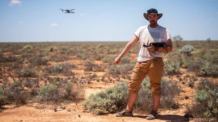 Drone and AI Technology Aid Scientists in Locating Fresh Meteorite on Western Australia s Nullarbor Plain