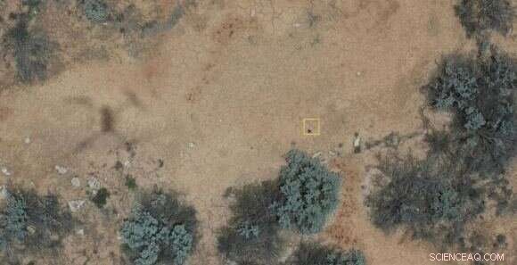 Curtin University Drone Finds Meteorite in Recent Australian Crash