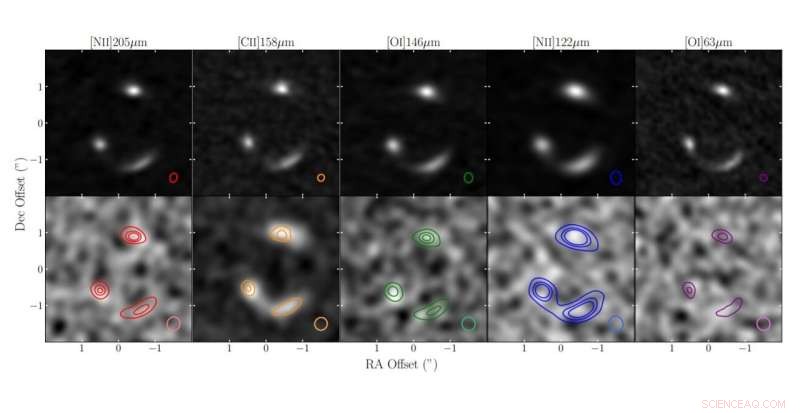 Astronomers Probe the Interstellar Medium of the Star-Forming Galaxy SPT0346-52