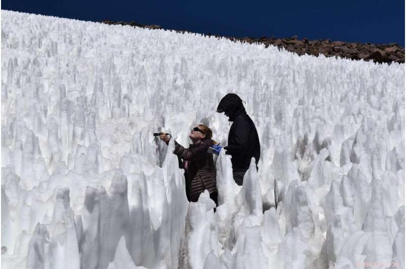Journey to the World s Highest Active Volcano Aims to Unlock Secrets of Extraterrestrial Life