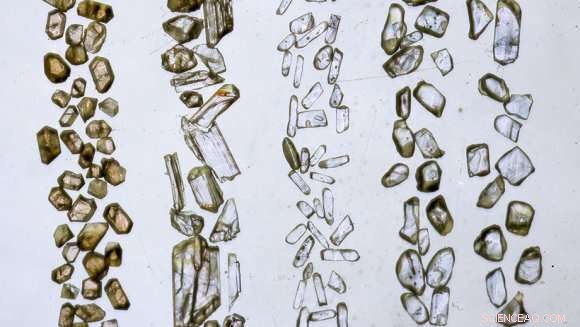 Mars Meteorite Reveals 4.45‑Billion‑Year‑Old Catastrophic Impact